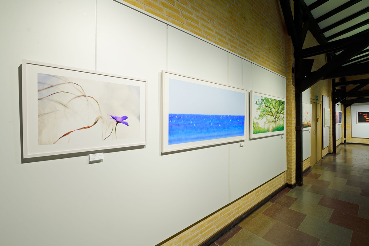 Bartocha-Bollmann_LYS_Stadtmuseum_Schleswig_01